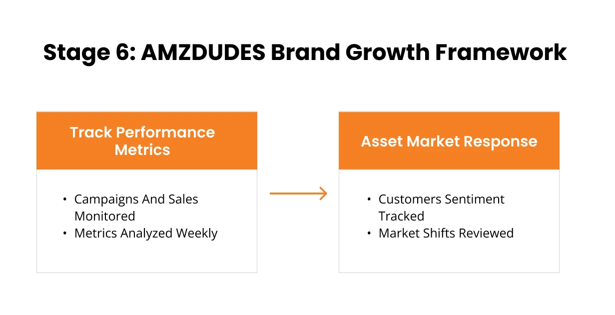image showing stage 6 of AMZDUDES brand growth framework